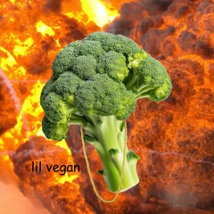 Lil Vegan