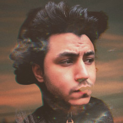 Mostafa Aamer 1