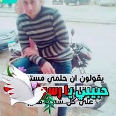 آمين محمود المرسي