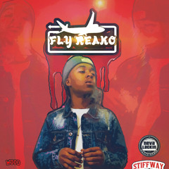 FLY Reako