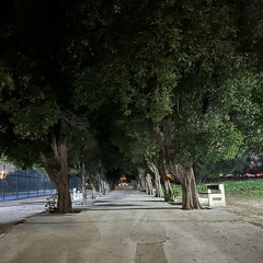 Mohammadalkh