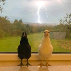 pretty bad rapper, i mean really bad, seriously