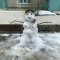 яша лава