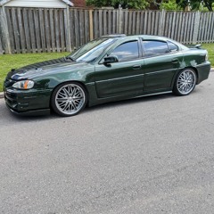 Rolly B
