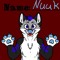 NuukCanine