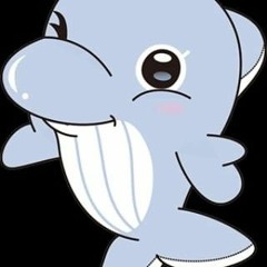 dolphin__052