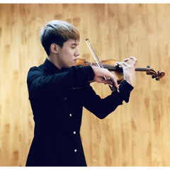 viiolinist S