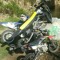 T lonie