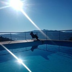 Arts Marian Arts Marian