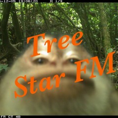 Tree Star FM