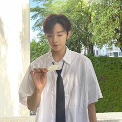 정법인