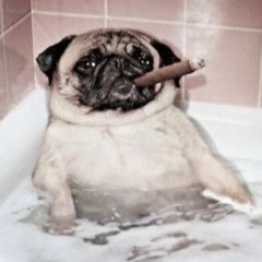 лёха вангуард