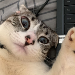 bentu