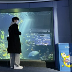 안수범