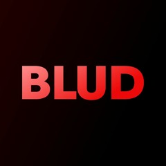BLUD Dev