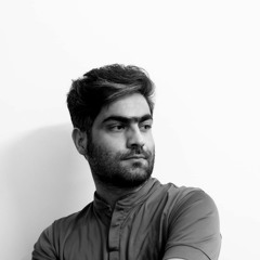 Mostafa Mohseni