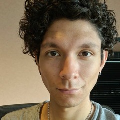 Matthijs van der Velde