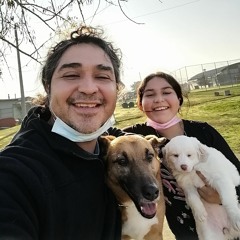 feñas