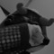 SHO;raRK¡;>––