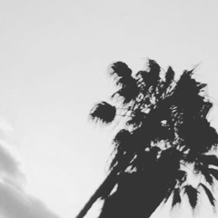 BREATHING IN THE SUN