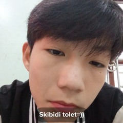 Tolet Skibidi