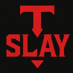 TSLAY666