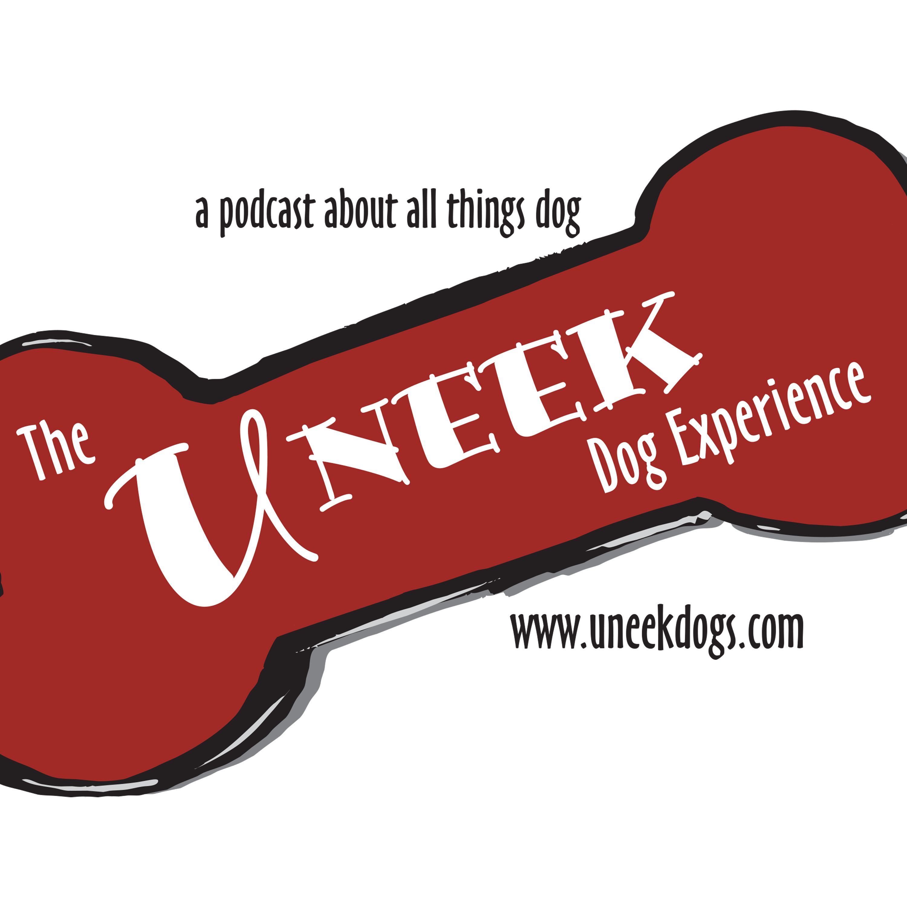 The Uneek Dog Experience