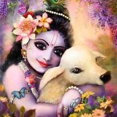 Thejaswini K