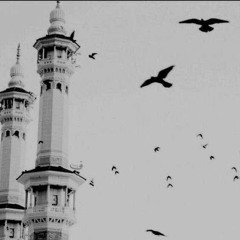 أنور محمد