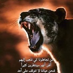 Ail Youssef