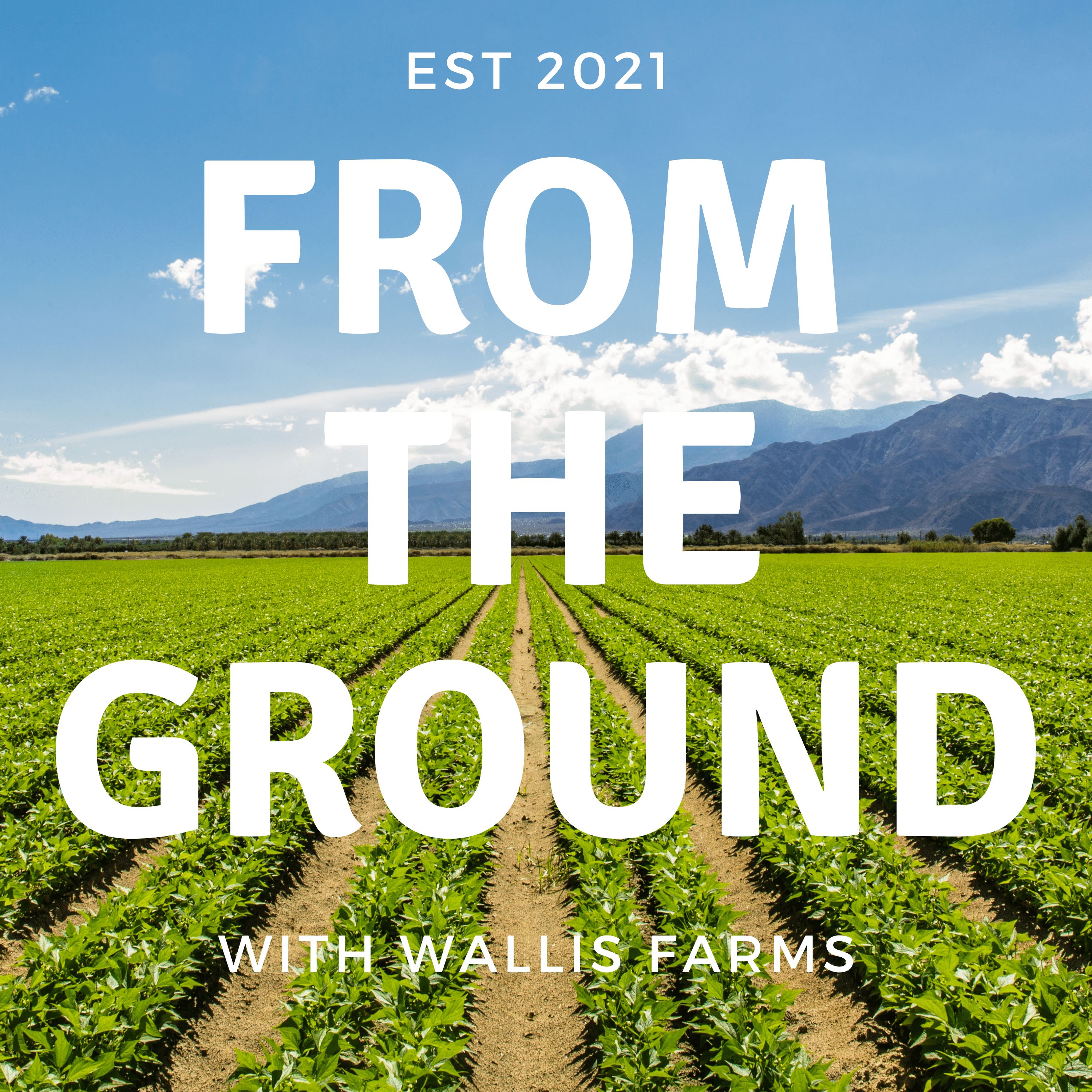 From The Ground- With Wallis Farms