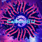 Callhunt64