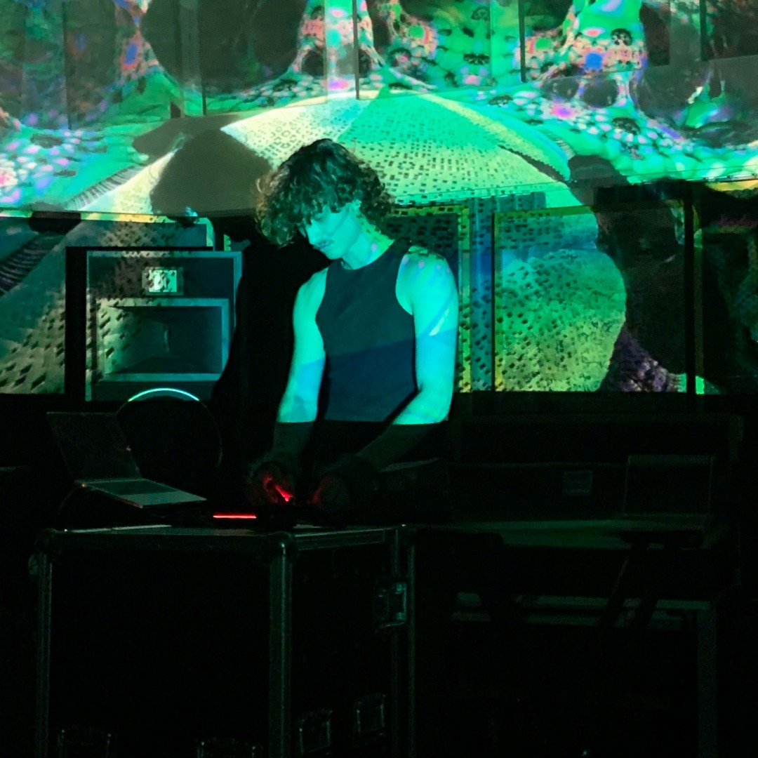 dj steinschlag’s avatar