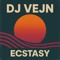 DJ VEJN