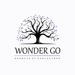 Wonder Go - Agencia de Publicidad