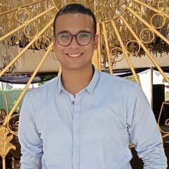 Ahmed Barakat