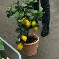 𝐴𝑙𝑙 𝐴𝑏𝑜𝑢𝑡 𝑇ℎ𝑜𝑠𝑒 𝐶𝑙𝑎𝑠𝑠𝑖𝑐𝑠