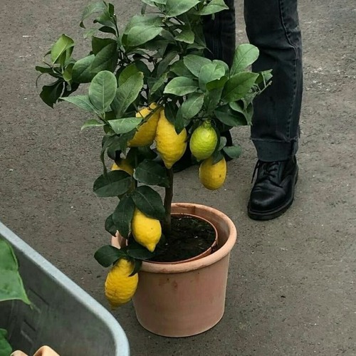 𝐴𝑙𝑙 𝐴𝑏𝑜𝑢𝑡 𝑇ℎ𝑜𝑠𝑒 𝐶𝑙𝑎𝑠𝑠𝑖𝑐𝑠