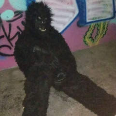 Cony