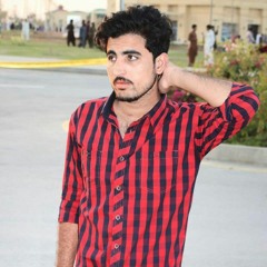 Zeeshan Haider