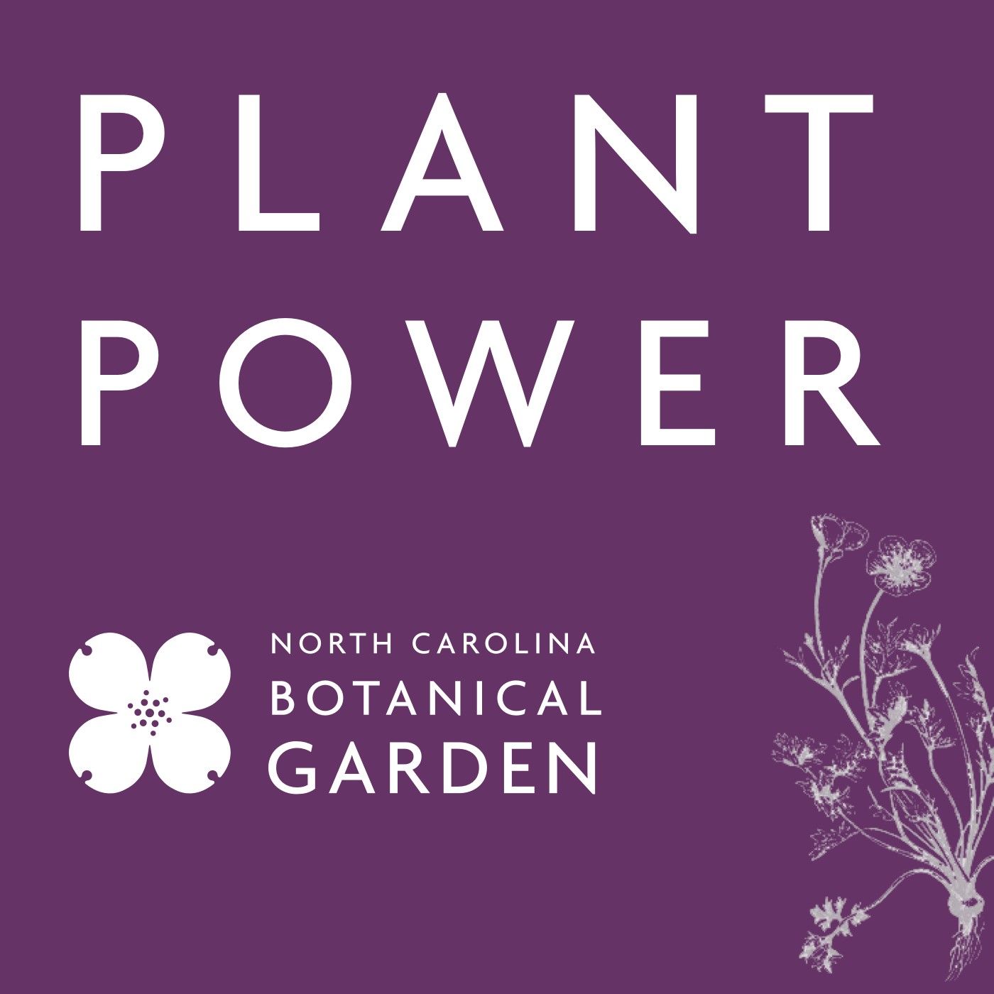 Plant Power: The Power of Plants in a Changing Climate