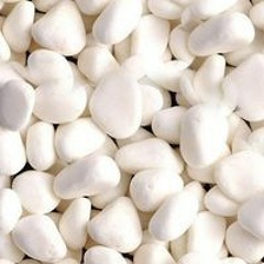 এম. জেড. আলম