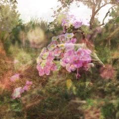 Kirsty Margaret F R