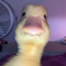 bleufmme