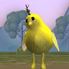 roropocpic