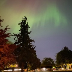 grimfast and the talking cats