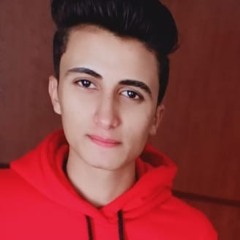 محمد الصاوى