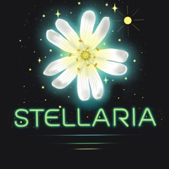 Stellaria