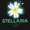 Stellaria