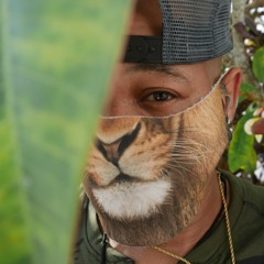 Jungle Lion